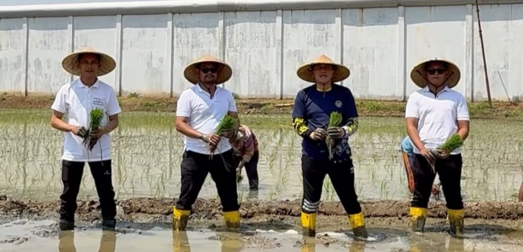 Lapas Karawang Tanam Padi di Lahan 1,7 Hektare, Dukung Ketahanan Pangan Nasional
