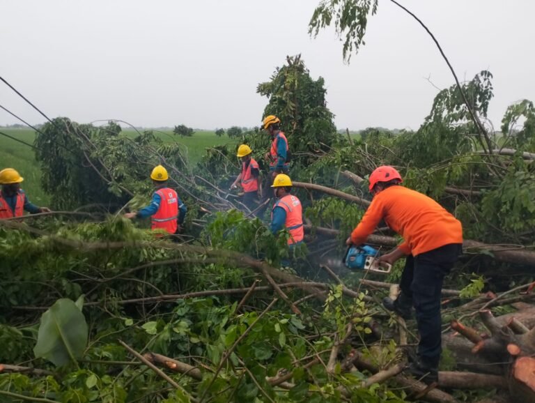 PLN Gerak Cepat Tangani Gangguan Kelistrikan Bekerja Sama dengan BPBD Karawang