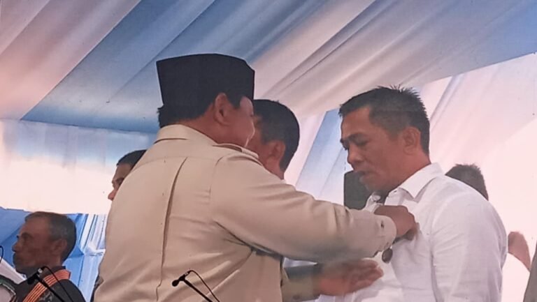 Bupati Karawang Aep Syaepuloh Terima Penghargaan Satyalancana Wira Karya dari Presiden Prabowo