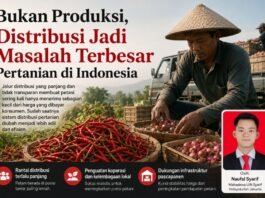 Distribusi Hasil Panen Jadi Penghambat Utama Kesejahteraan Petani Indonesia