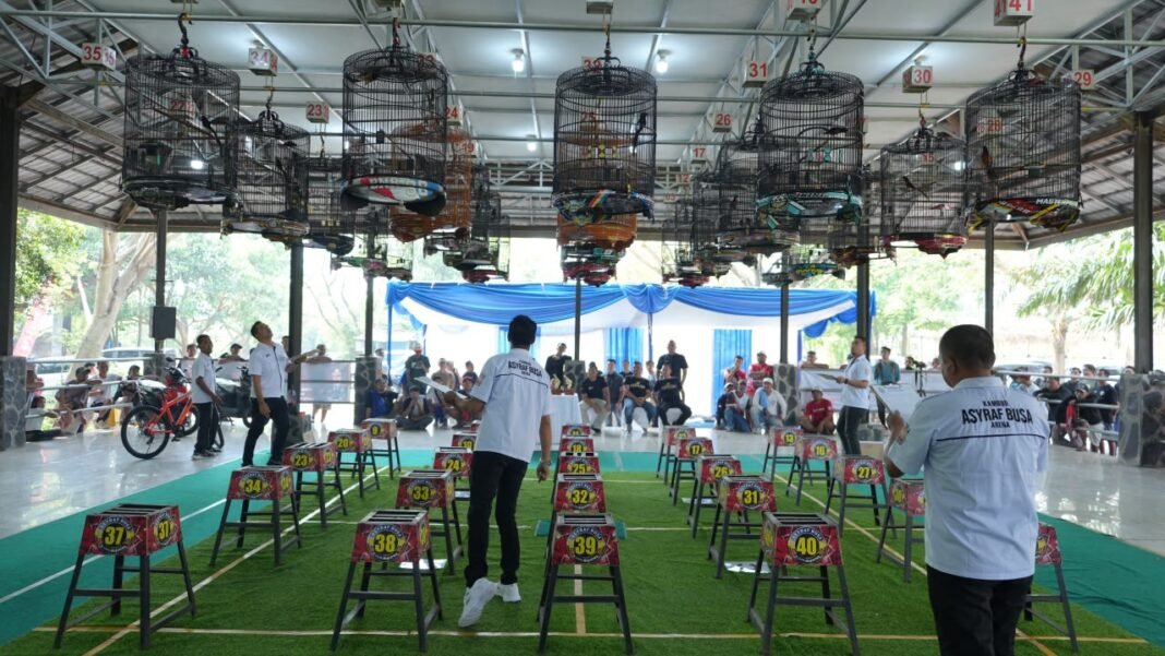 Kapolres Cup Kicau Mania 2026 Meriahkan HUT Bhayangkara ke-80, Ratusan Kicau Mania Padati Kampung Budaya Karawang Kapolres Cup Kicau Mania 2026 Meriahkan HUT Bhayangkara ke-80, Ratusan Kicau Mania Padati Kampung Budaya Karawang